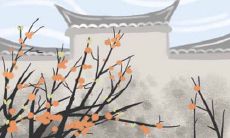 属马的人最宜在哪几个月出生？