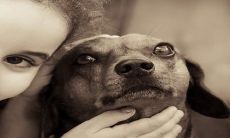 2023年兔年出生的女宝宝最佳取名指南:超好听的名字附带精彩解释!