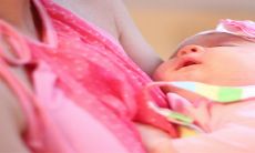 2023年最全的兔宝宝许姓婴儿取名大全，让您选择许姓名字更加轻松！