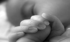 兔宝宝，你的完美选择！2023年最新曹氏独特命名大全，让你的兔宝宝成为一个识别度极高的个体！