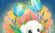 如何选择属狗人的头像以获取好运?如何在属狗人的家中放置物品来提升正财运势?