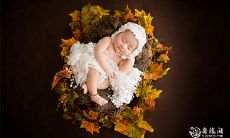 2023年3月8日出生的缺乏金火五行元素的男女孩婴命名建议