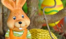 2023年属兔:稀世难遇的百年机遇,运势如何?