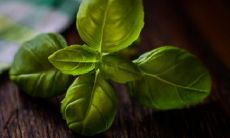 如何提高财富运：探讨86年属虎人最穷不过36岁现象