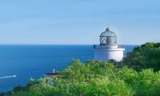 在寡妇年,有哪些事情是寡妇不能做的?寡妇年的运势会受到什么影响?