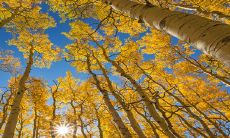 为什么农历中会添加一个闰二月？闰二月的产生历史与背后的文化意义是什么？