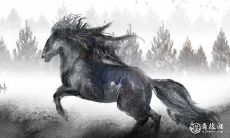 生肖马：十二生肖中最忙碌的动物，其性格特点是什么？