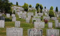 如何选择合适的墓地朝向，在风水讲究中有哪些要点需要注意？