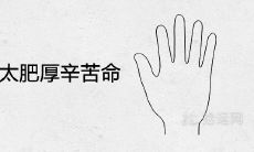 女性手掌肥厚会带来哪些辛苦命运？真相到底如何？