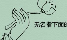 无名指下方的竖纹是什么意思?它与手相命运有什么关系?