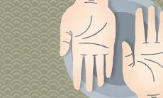 手掌纹路揭秘:通过螺纹图解富贵命运的演变过程