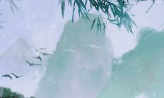 详解女性面相学：掌握各式眼睛形态的解析