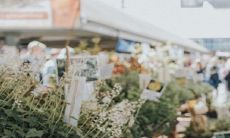 从宿命到命运:探究癸水女的婚姻转机及其对命运的影响