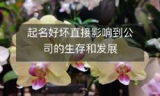 起名是否得当直接关系到公司的生存和拓展的成败