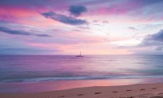 2030年风火家人卦：皇极经世的先兆和启示