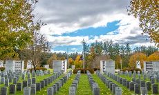 2023年2月将选定幸运吉日，进行迁坟安坟仪式的相关计划和安排