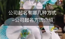 公司命名的多种方式及方法详解