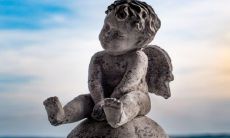 为什么女性在凤凰命中会先经受苦难后享受甜美,这个命理学的命运是什么?