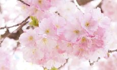 以“弘”命名的男孩名字所蕴含的吉祥寓意，究竟有多大气？