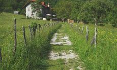 什么是值得关注的公司前台风水要素,它们为何不能被忽视?