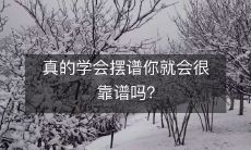 学习如何摆谱：是真的会让你变得更加靠谱吗？