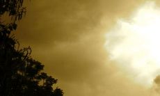 哪个生肖最适合与87年出生的兔子组合?属兔女与这个生肖的默契度达到了什么程度?