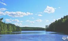 寿又好命的女性生肖:揭秘真正的人生赢家