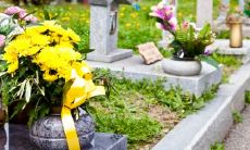 的坟墓来祭奠先人?