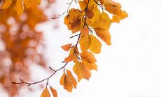 恶评生肖女:处处不受待见的星座女子