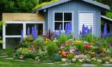 墓地在富贵人家附近,该墓地上有鲜花盛开,是否代表风水极佳?