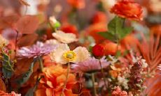 探究十二星座中哪些女性的命运注定坎坷不平?