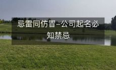 公司起名的必知禁忌:避免雷同、防范仿冒,三思而后取!