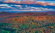 探究2023年的黑兔年:预示着什么意义?黑兔年背后潜藏的灾难源由揭秘!