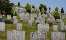 如何判断墓地是否为葬中吉地?有哪些征兆能够帮助我们确定吉地墓地的位置?