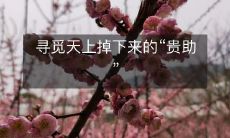 不妨试试这样的标题: