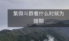 通过紫微斗数如何推算自己的婚期?