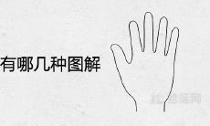 手相解读:探寻副生命线的多种图示及其隐含意义