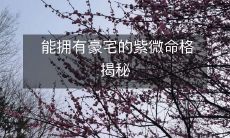 揭露豪宅归属紫微命格的奥秘——探究如何获得豪宅的紫微命理学指引