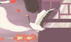 这些幸运物品能为属马的人带来好运和成功