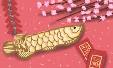 属鸡人在哪些月份出生最为适宜?