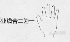 探究手相中感情线和事业线的融合，对人生好处多多吗？