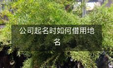 在企业命名时如何利用地理名称来打造品牌形象与地域认知