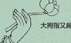 带有福气的宽阔扁平大拇指存在吗?