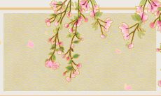 根据97年出生的人在2023年的年龄进行运势分析