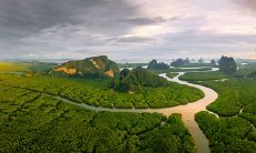 70年属狗的人，到2023年的年龄是多少？此时的运势又如何呢？