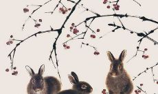 2022年下半年属兔人运势预测:探索扩展运程,发现更多繁荣成功的机会!