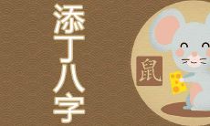 2020年哪些生肖添丁八字符合命理预测?