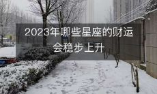 探索2023年哪些星座的财富运势将逐渐走高并稳坐上位!