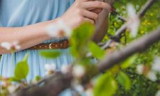 解析：基于输入的标题，我认为题目可以有更精确且具有吸引力的描述。展示以下几个改写后的标题选择：