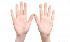 十个簸箕迎风飘舞，十指托起天下事——揭秘帝王命运的神秘密码